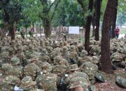 Pemerintah Ungkap Penyebab 5 Calon Manajer Kopdes Meninggal Saat Latsarmil, Program Militer Dihapus dan Diganti Bela Negara